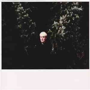 Cass. - Magical Magical download free Cass. - Magical Magical download mp3 flac