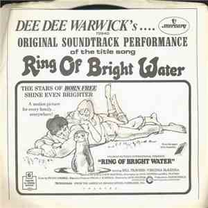 Dee Dee Warwick - Next Time (You Fall In Love) / Ring Of Bright Water download mp3 flac