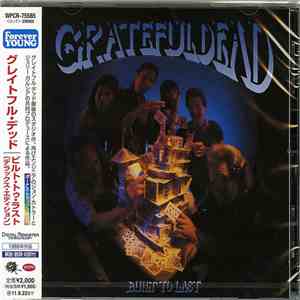 Grateful Dead - Built To Last download free