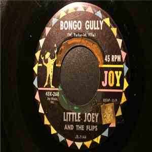 Little Joey And The Flips - Bongo Gully download free