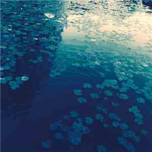 Nulix - Lifeflow download free