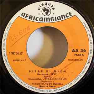 Orchestre Richard Band De Zoetele - Bibae Bi Nlem download free