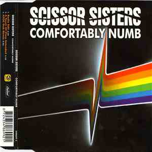 Scissor Sisters - Comfortably Numb download free