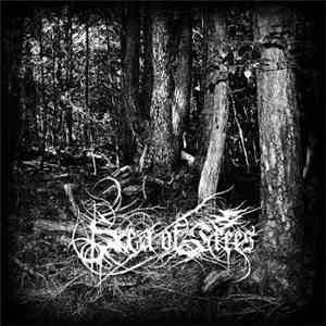 Sea Of Trees - Aokigahara download free