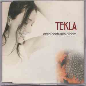 Tekla - Even Cactuses Bloom download free