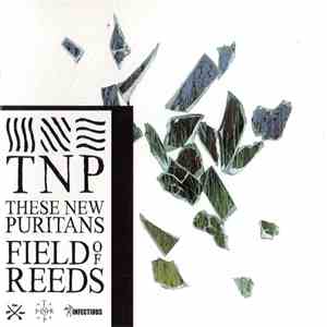These New Puritans - Field Of Reeds download free